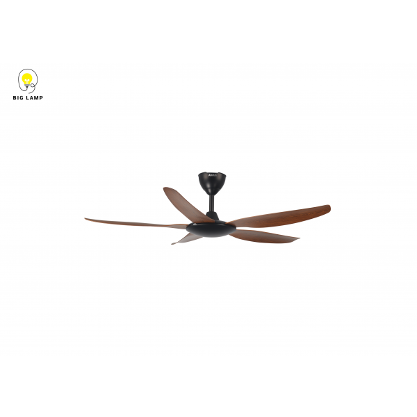 a19