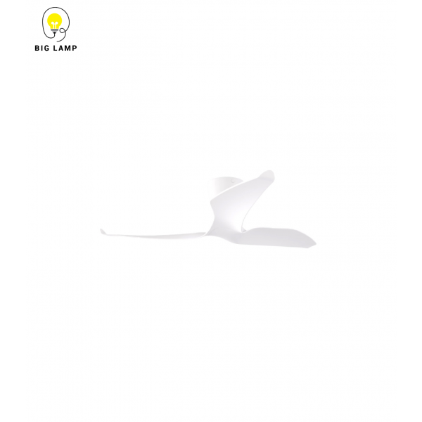 ae11