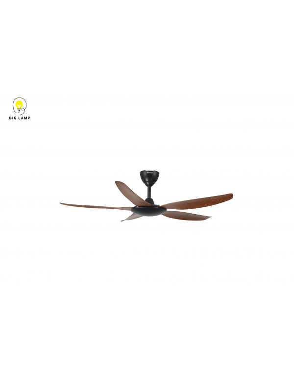 a19